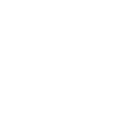 Execution step icon